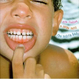 O corpo sutil : the subtle body